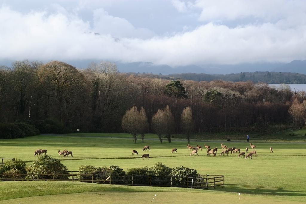 Castlerosse Park Resort Killarney Eksteriør bilde